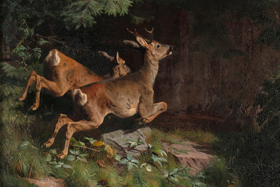 DEER MACKEPRANG - Museum Quality Art