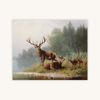 DEER — Primary Image