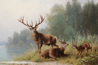 Deer