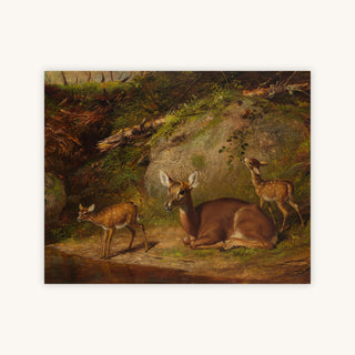DOE AND TWO FAWNS — Primary Image