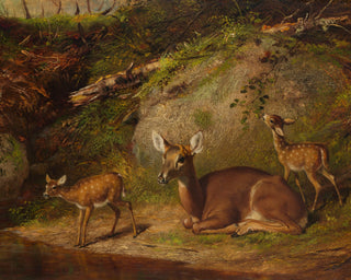 Doe and Two Fawns
