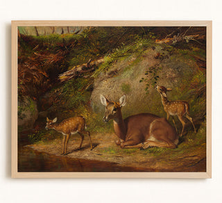 Doe and Two Fawns