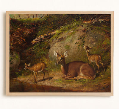 Doe and Two Fawns