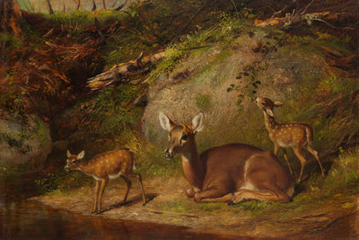 Doe and Two Fawns