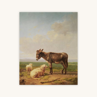 DONKEY AND SHEEP — Primary Image