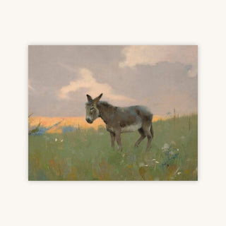 DONKEY — Primary Image