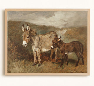 Donkeys Out on the Moor
