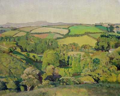 Drift Valley
