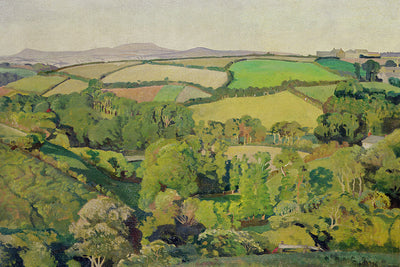Drift Valley