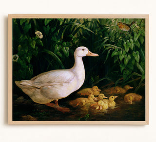 Duck and Ducklings