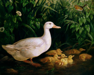 Duck and Ducklings