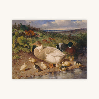 DUCKS BY A STREAM — Primary Image