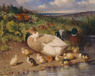 DUCKS BY A STREAM