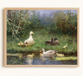 Ducks on a Riverbank