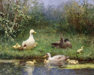 Ducks on a Riverbank