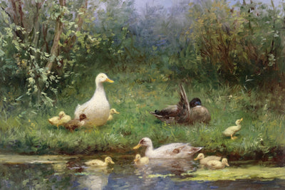 Ducks on a Riverbank