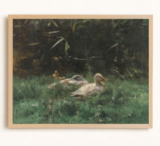 DUCKS - Museum Quality Art