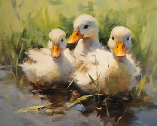 DUCKS II