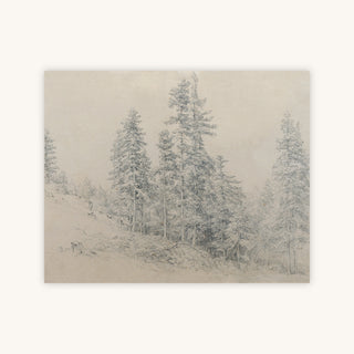 EDELTANN — Primary Image
