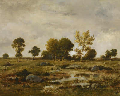 EFFECT OF AUTUMN, FONTAINEBLEAU