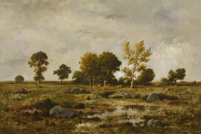 EFFECT OF AUTUMN, FONTAINEBLEAU