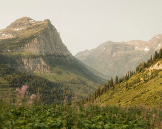 Elevation