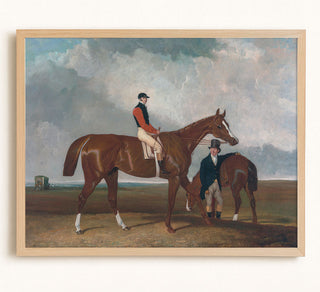 ELIS - Museum Quality Art