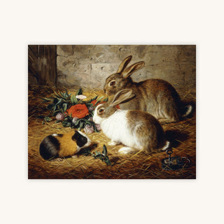 ESCAPED, TWO RABBITS AND GUINEA PIG — Primary Image