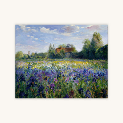 EVENING AT THE IRIS FIELD — Primary Image