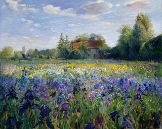EVENING AT THE IRIS FIELD