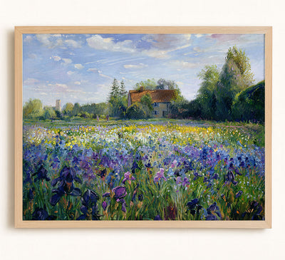 Evening at the Iris Field