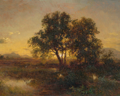 Early Evening Landscape