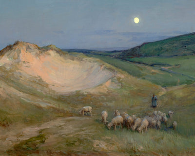 EVENING ON THE DUNES