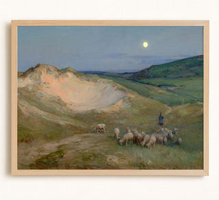 Evening on the Dunes