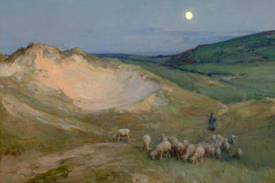Evening on the Dunes