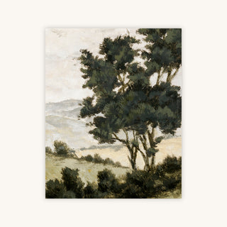 EZRA HILL — Primary Image