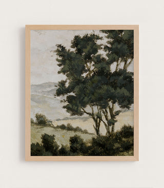 Ezra Hill