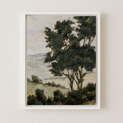 Ezra Hill