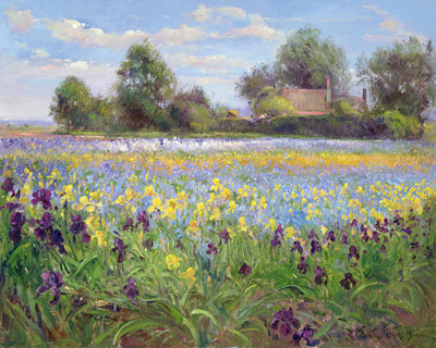 FARMSTEAD AND IRIS FIELD - Museum Quality Art