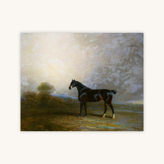 FAVORITE HUNTER — Primary Image