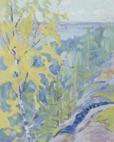 Fell Landscape