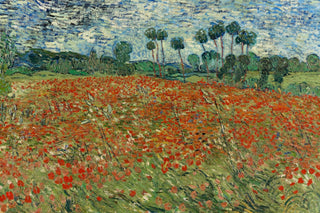 Field of Poppies, Auvers-Sur-Oise