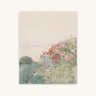 FIELD OF POPPIES — Primary Image