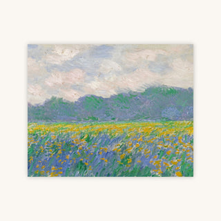 FIELD OF YELLOW IRISES AT GIVERNY — Primary Image