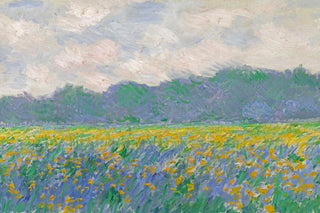 FIELD OF YELLOW IRISES AT GIVERNY