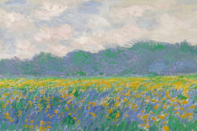 FIELD OF YELLOW IRISES AT GIVERNY