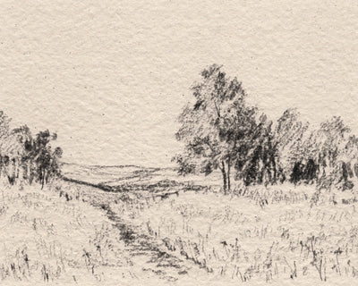 Field Sketch I