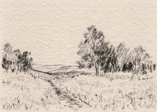 Field Sketch I