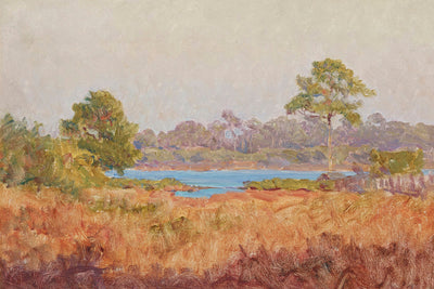 FIELD STUDY, FLORIDA - Museum Quality Art