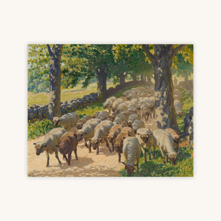 FLOCK OF SHEEP — Primary Image